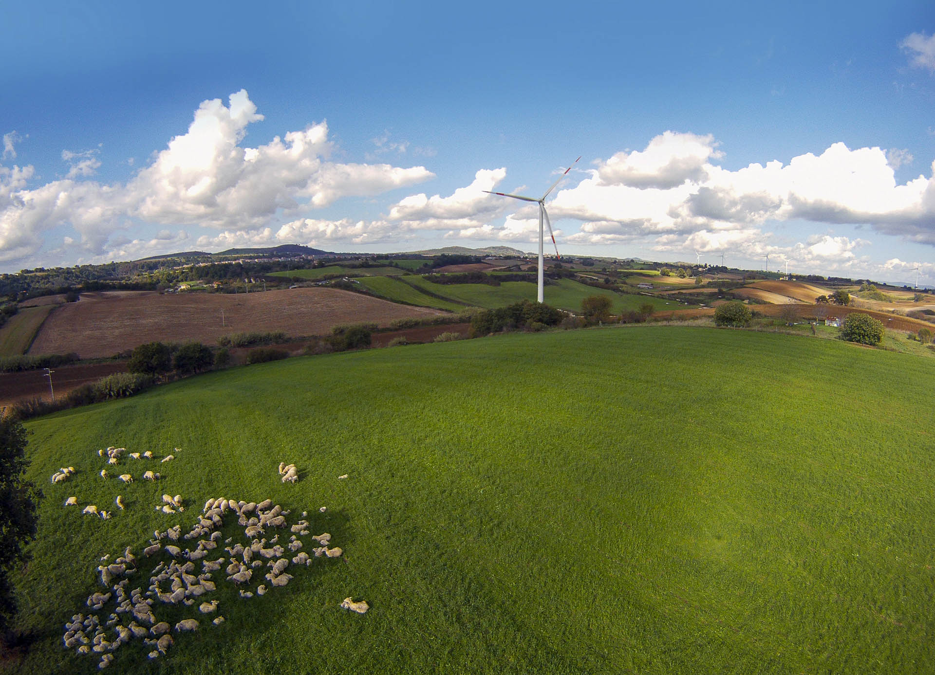 Parco produzione energia verde rinnovabile eolica Piansano